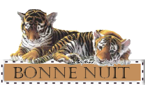 bonne nuit a tous 